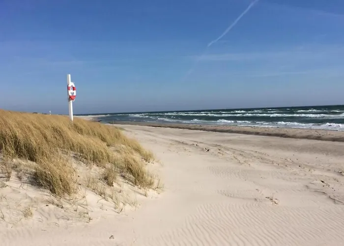 Villavilla 446 - Strand, Ostjylland 度假居 *